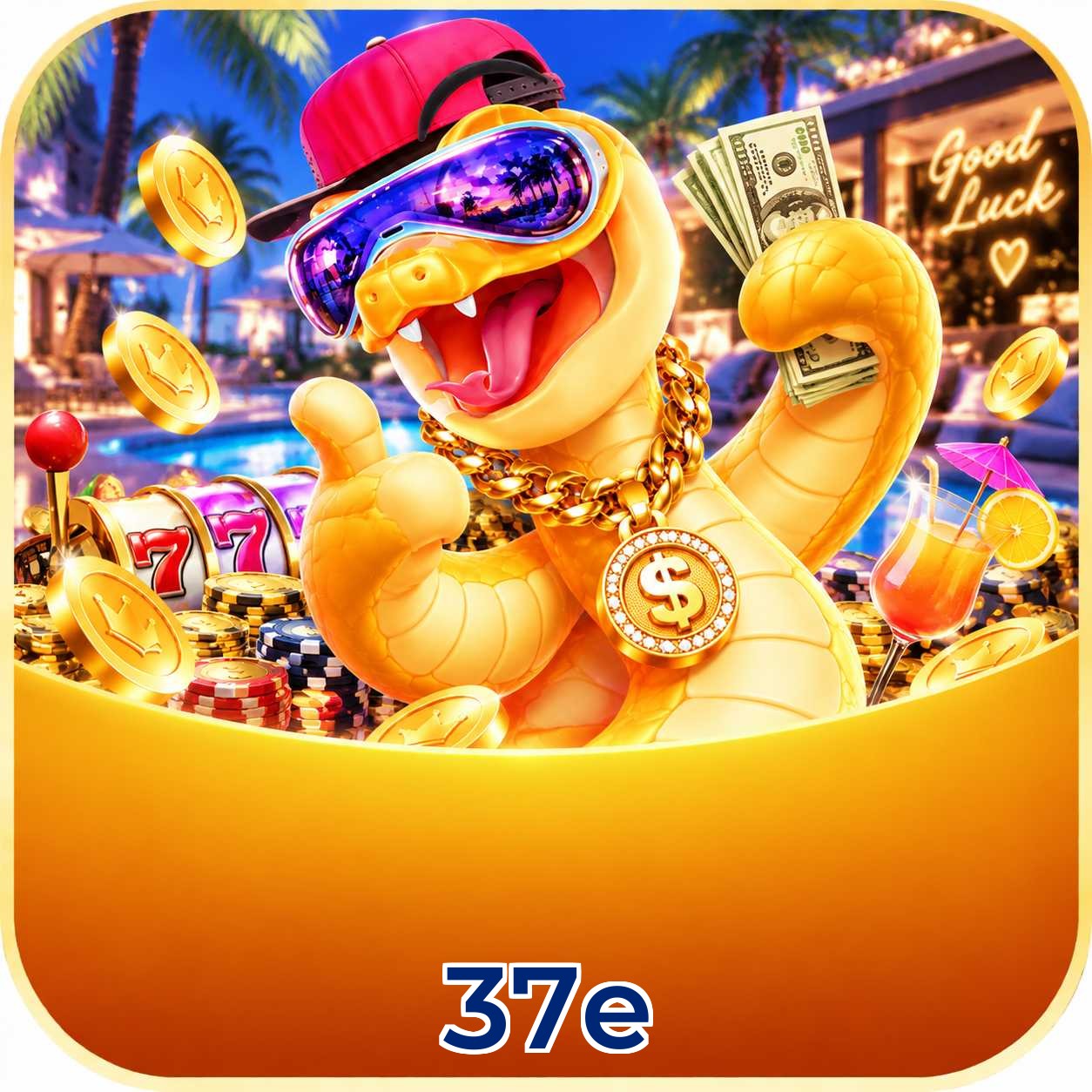 37e VIP Program